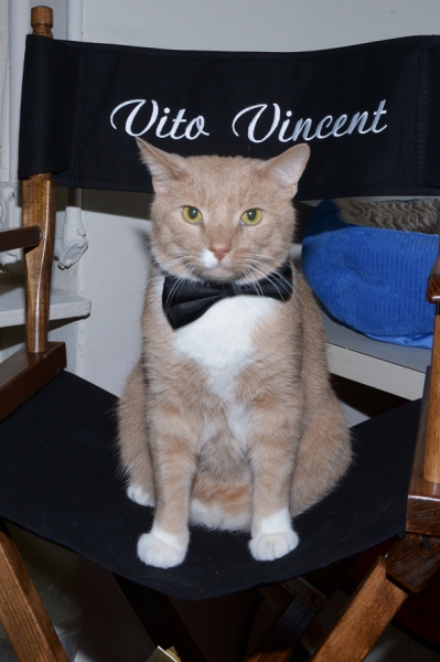 Photo Flash: Backstage with the BREAKFAST AT TIFFANY'S Kitties! Image