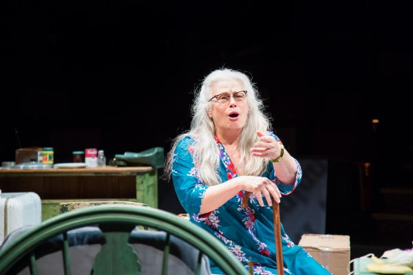 Photo Flash: First Look at Patti Cohenour, Allen Fitzpatrick and More in ACT/5th Avenue's GREY GARDENS 