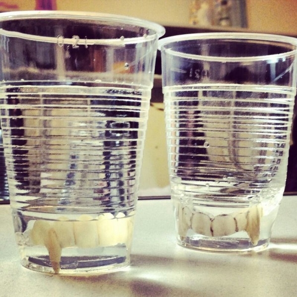 Photo Flash: Saturday Intermission Pics, March 23 - Kelli O'Hara's Last SIP with NICE WORK, FLASHDANCE Channels PIPPIN and More!  Image