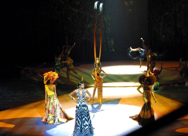 Photo Flash: Cirque du Soleil's ONE NIGHT FOR ONE DROP World Water Day Performance Image