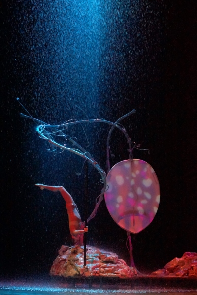 Photo Flash: Cirque du Soleil's ONE NIGHT FOR ONE DROP World Water Day Performance Image