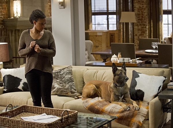 Photo Flash: Tracie Thoms Guests on PERSON OF INTEREST, 4/4 Image