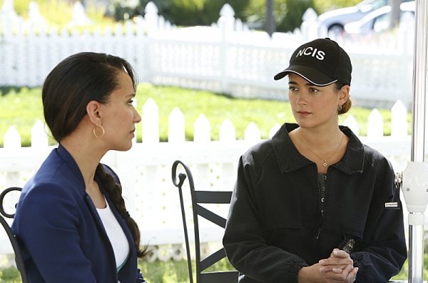 Photo Flash: First Look - NCIS' 'Chasing Ghosts,' Airing 4/9 