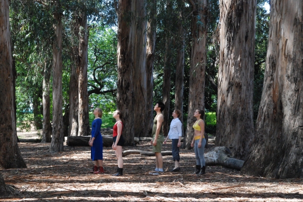 Photos: UC Berkeley Presents 4 New Dance Works in 'Berkeley Dance Project 2013: Aperture'; Thru 4/28 Image