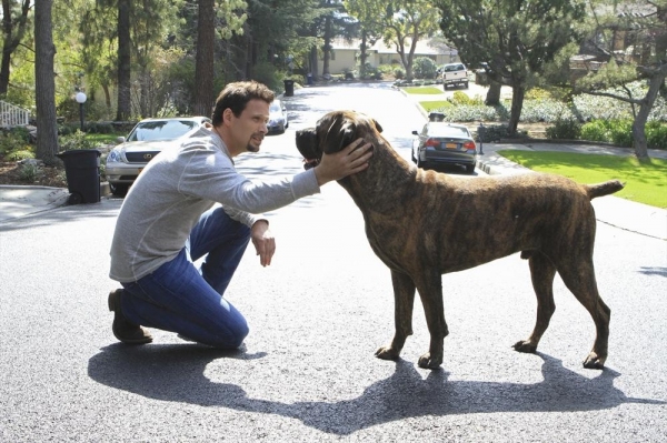 Photo Flash: First Look - SUBURGATORY's Season Finale, 4/17 Image