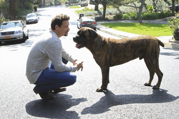 Photo Flash: First Look - SUBURGATORY's Season Finale, 4/17 Image