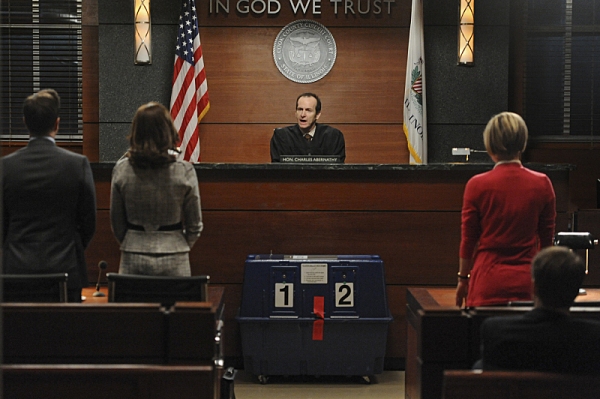 Photo Flash: First Look at THE GOOD WIFE's Season Finale, Airing 4/28 