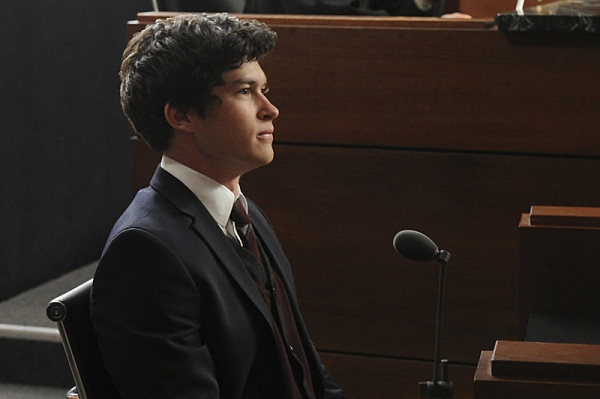 Photo Flash: First Look at THE GOOD WIFE's Season Finale, Airing 4/28 Image