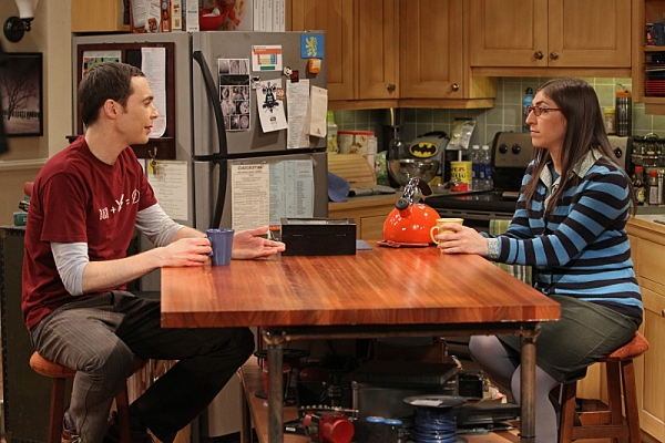 Photo Flash: THE BIG BANG THEORY's 'The Closure Alternative,' Airing 4/25 Image