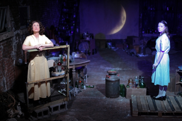 Photo Flash: First Look at Mary-Arrchie Theatre's THE GLASS MENAGERIE Image