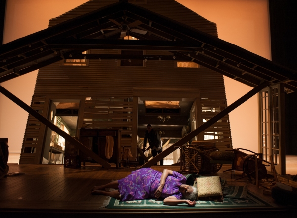Photo Flash: First Look at Steppenwolf Theatre's HEAD PASSES Image