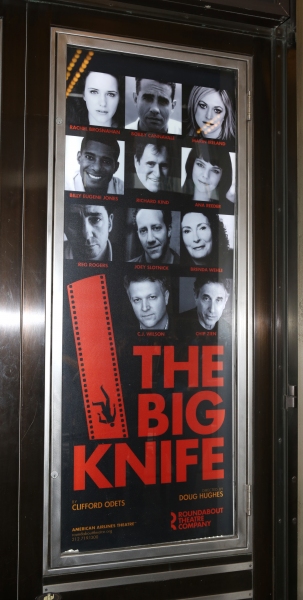 Photo Coverage: THE BIG KNIFE Opens on Broadway - Red Carpet  Image