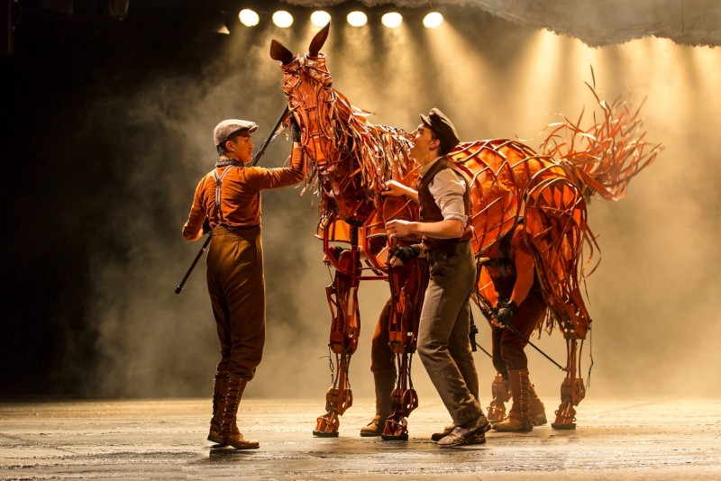 Photo Flash: Sneak Peek - WAR HORSE Gallops Into Broward Center, May 2013 Image