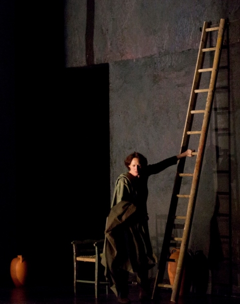 Photo Flash: First Look at Fiona Shaw in THE TESTAMENT OF MARY Image