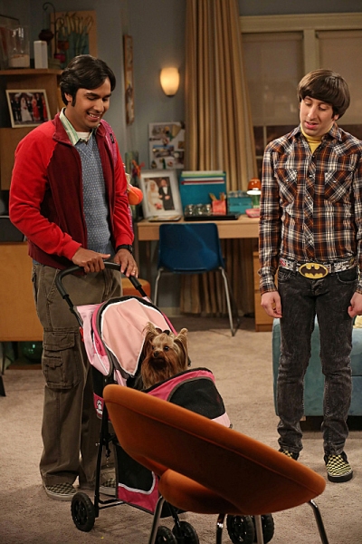 Photo Flash: First Look - Bob Newhart Guest Stars on THE BIG BANG THEORY, 5/2 Image