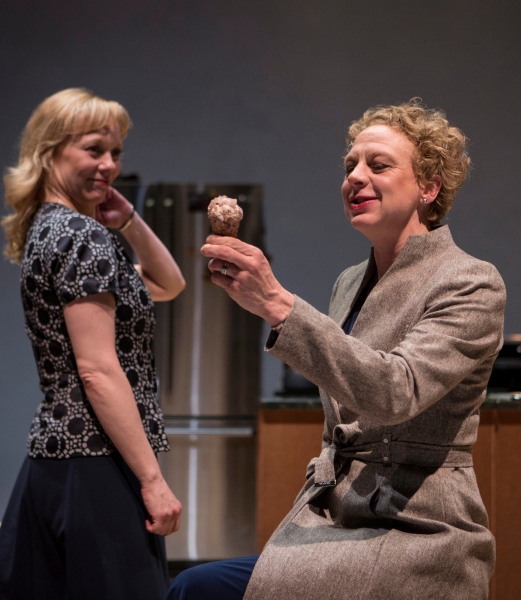 Photo Flash: First Look at Lookingglass Theatre's STILL ALICE Image
