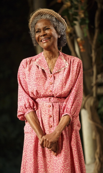 Photo Flash: First Look at Cicely Tyson, Vanessa Williams, Cuba Gooding Jr. & More in THE TRIP TO BOUNTIFUL Image