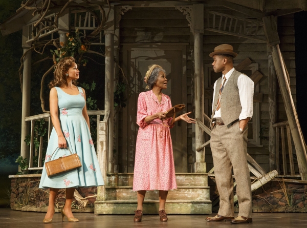 Photo Flash: First Look at Cicely Tyson, Vanessa Williams, Cuba Gooding Jr. & More in THE TRIP TO BOUNTIFUL Image