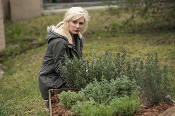 Photo Flash: NASHVILLE's 'Take These Chains from My Heart,' Airing 5/1 Image