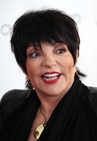 Photo Coverage: The Stars Arrive for the 40th Annual Chaplin Awards, Honoring Barbra Streisand Image