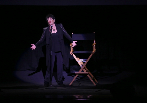 Photo Coverage: The Film Society of Lincoln Center Honors Barbra Streisand With the Chaplin Award  Image