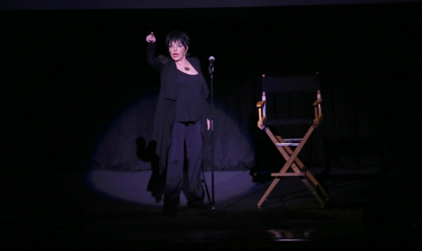 Photo Coverage: The Film Society of Lincoln Center Honors Barbra Streisand With the Chaplin Award 