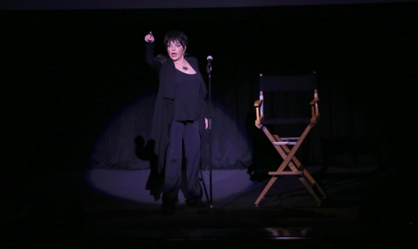 Photo Coverage: The Film Society of Lincoln Center Honors Barbra Streisand With the Chaplin Award Image