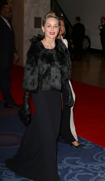 Photo Coverage: Inside The White House Correspondents' Association Dinner - The Ladies! Image