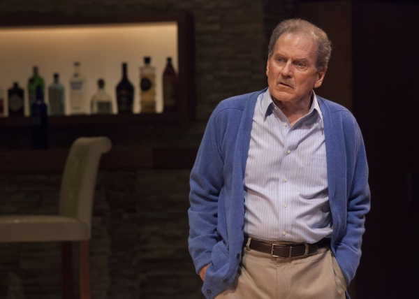 Photo Flash: First Look at Andy Bean, Kandis Chappell, Robert Foxworth and More in Old Globe's OTHER DESERT CITIES Image
