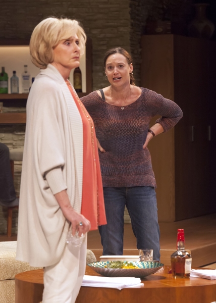 Photo Flash: First Look at Andy Bean, Kandis Chappell, Robert Foxworth and More in Old Globe's OTHER DESERT CITIES Image