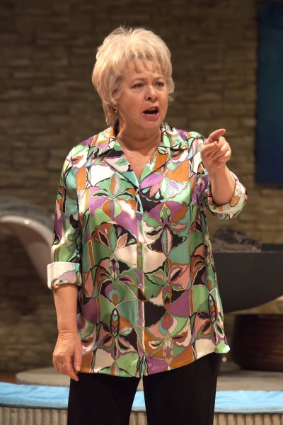 Photo Flash: First Look at Andy Bean, Kandis Chappell, Robert Foxworth and More in Old Globe's OTHER DESERT CITIES Image