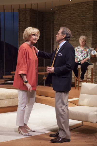 Photo Flash: First Look at Andy Bean, Kandis Chappell, Robert Foxworth and More in Old Globe's OTHER DESERT CITIES Image