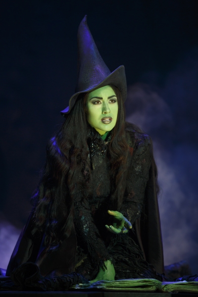 Photo Flash: First Look at Alison Luff and John Davidson in WICKED National Tour Image