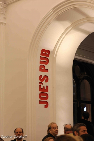 Photo Coverage: Leslie Kritzer Brings BEAUTIFUL DISASTER to Joe's Pub Image