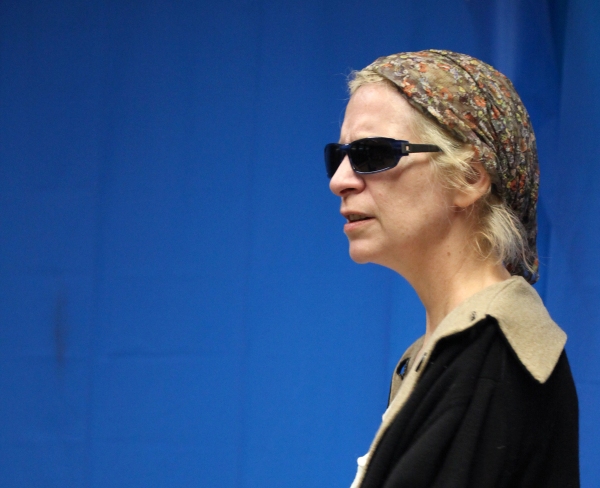 Photo Coverage: Amanda Plummer & THE TWO CHARACTER PLAY Cast Meet the Press Image