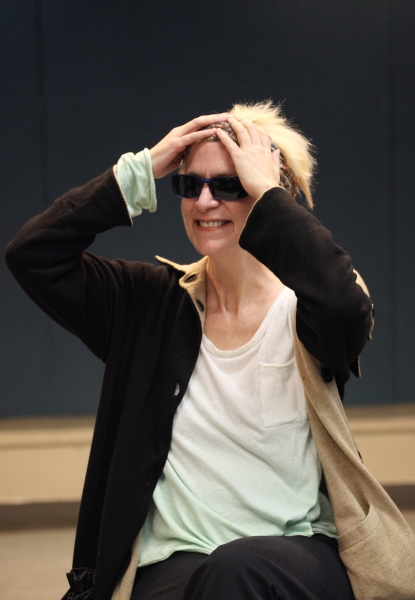 Photo Coverage: Amanda Plummer & THE TWO CHARACTER PLAY Cast Meet the Press Image
