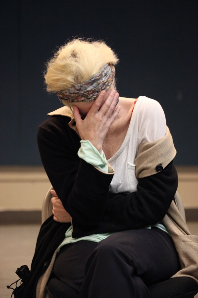 Photo Coverage: Amanda Plummer & THE TWO CHARACTER PLAY Cast Meet the Press Image