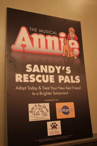 Photo Flash: ANNIE Celebrates the Launch of Sandy's Rescue Pals Image