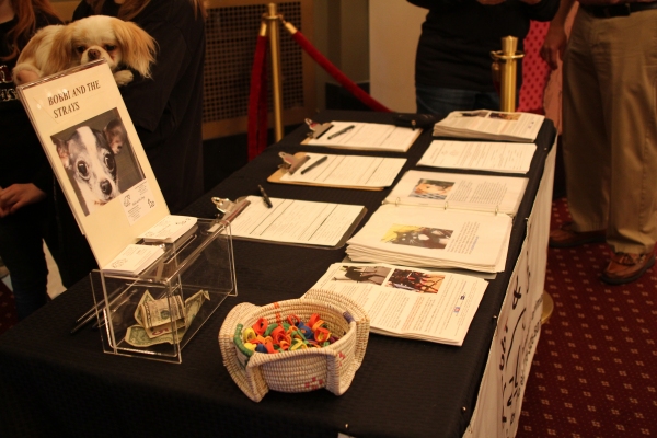 Photo Flash: ANNIE Celebrates the Launch of Sandy's Rescue Pals Image