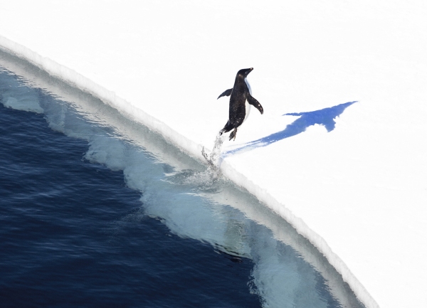 Photo Flash: Sneak Peek at THE LAST OCEAN, Set for newportFILM Screening 5/23 Image