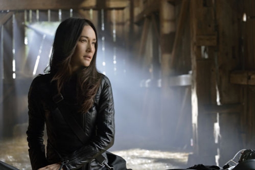 Photo Flash: Next Week's All New NIKITA, Airing 5/17 Image