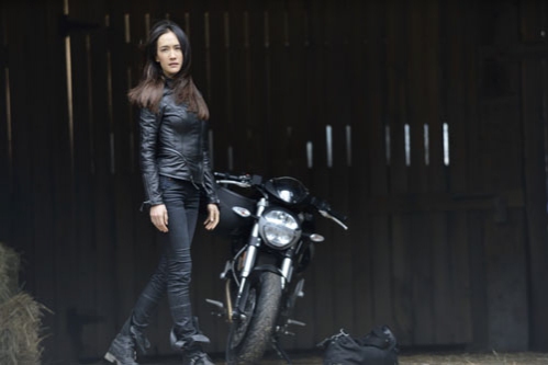 Photo Flash: Next Week's All New NIKITA, Airing 5/17 Image