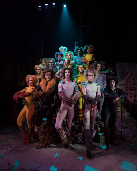 Photo Flash: First Look at Charles Azulay, Ma-Anne Dionisio & More in the Canadian Production of CATS Image