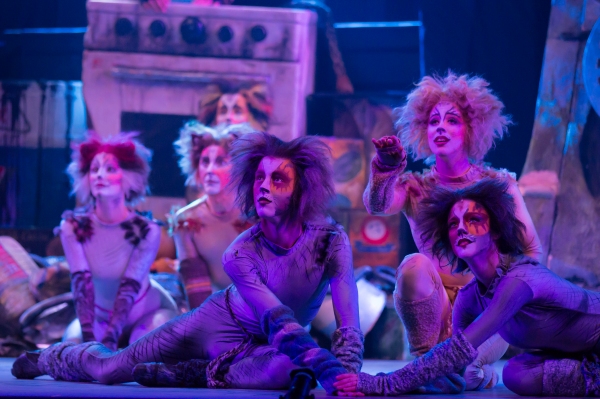 Photo Flash: First Look at Charles Azulay, Ma-Anne Dionisio & More in the Canadian Production of CATS Image