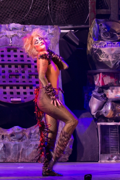 Photo Flash: First Look at Charles Azulay, Ma-Anne Dionisio & More in the Canadian Production of CATS Image