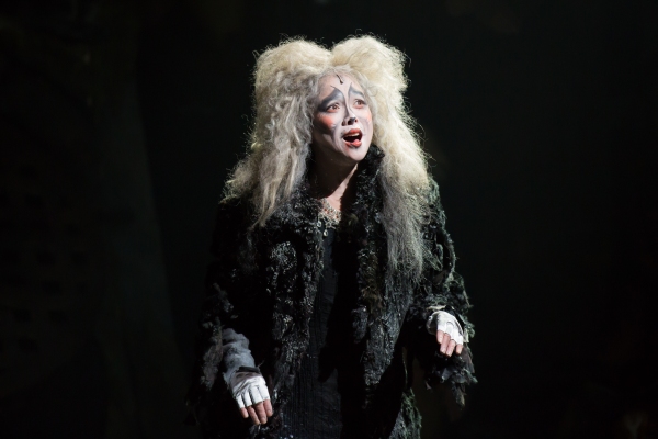 Photo Flash: First Look at Charles Azulay, Ma-Anne Dionisio & More in the Canadian Production of CATS 