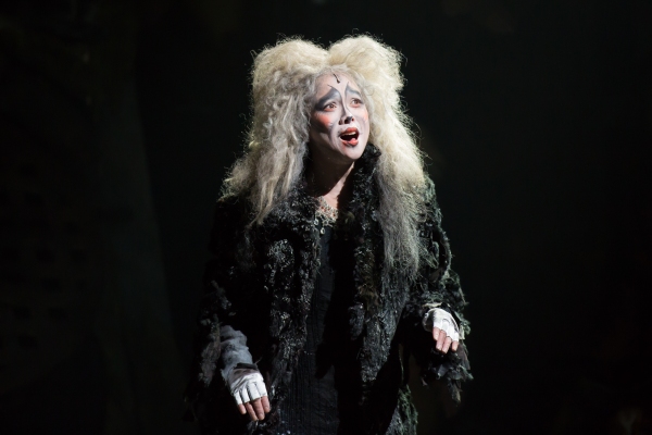 Photo Flash: First Look at Charles Azulay, Ma-Anne Dionisio & More in the Canadian Production of CATS Image