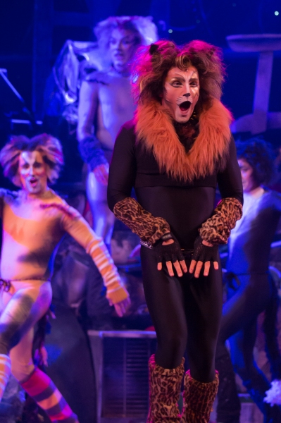 Photo Flash: First Look at Charles Azulay, Ma-Anne Dionisio & More in the Canadian Production of CATS Image