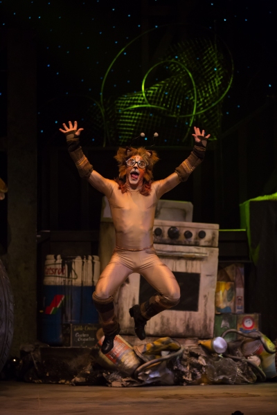 Photo Flash: First Look at Charles Azulay, Ma-Anne Dionisio & More in the Canadian Production of CATS Image