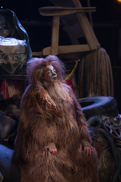 Photo Flash: First Look at Charles Azulay, Ma-Anne Dionisio & More in the Canadian Production of CATS 